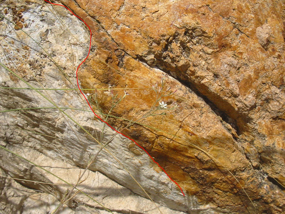 Faglia